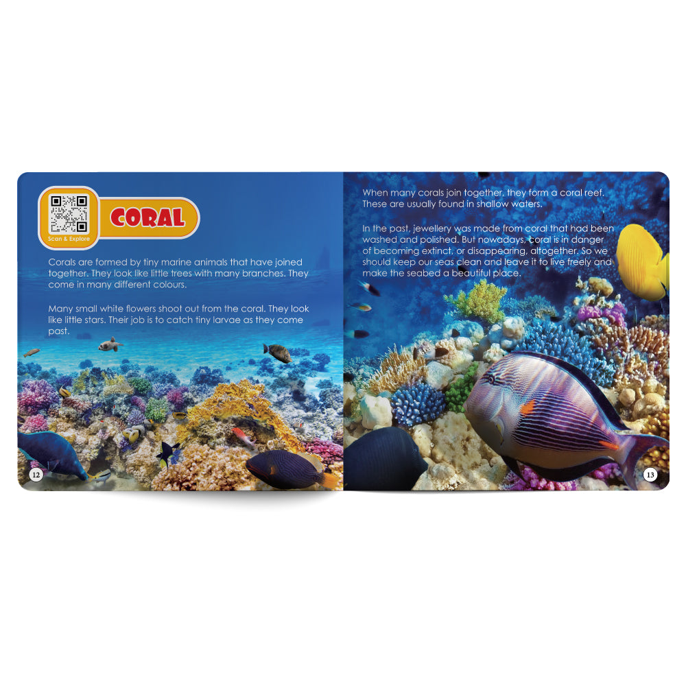 Sea Creatures – Book for Kids in English