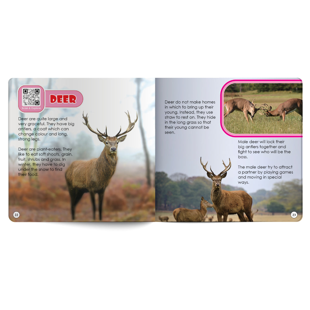 Wild Animals – Book for Kids in English