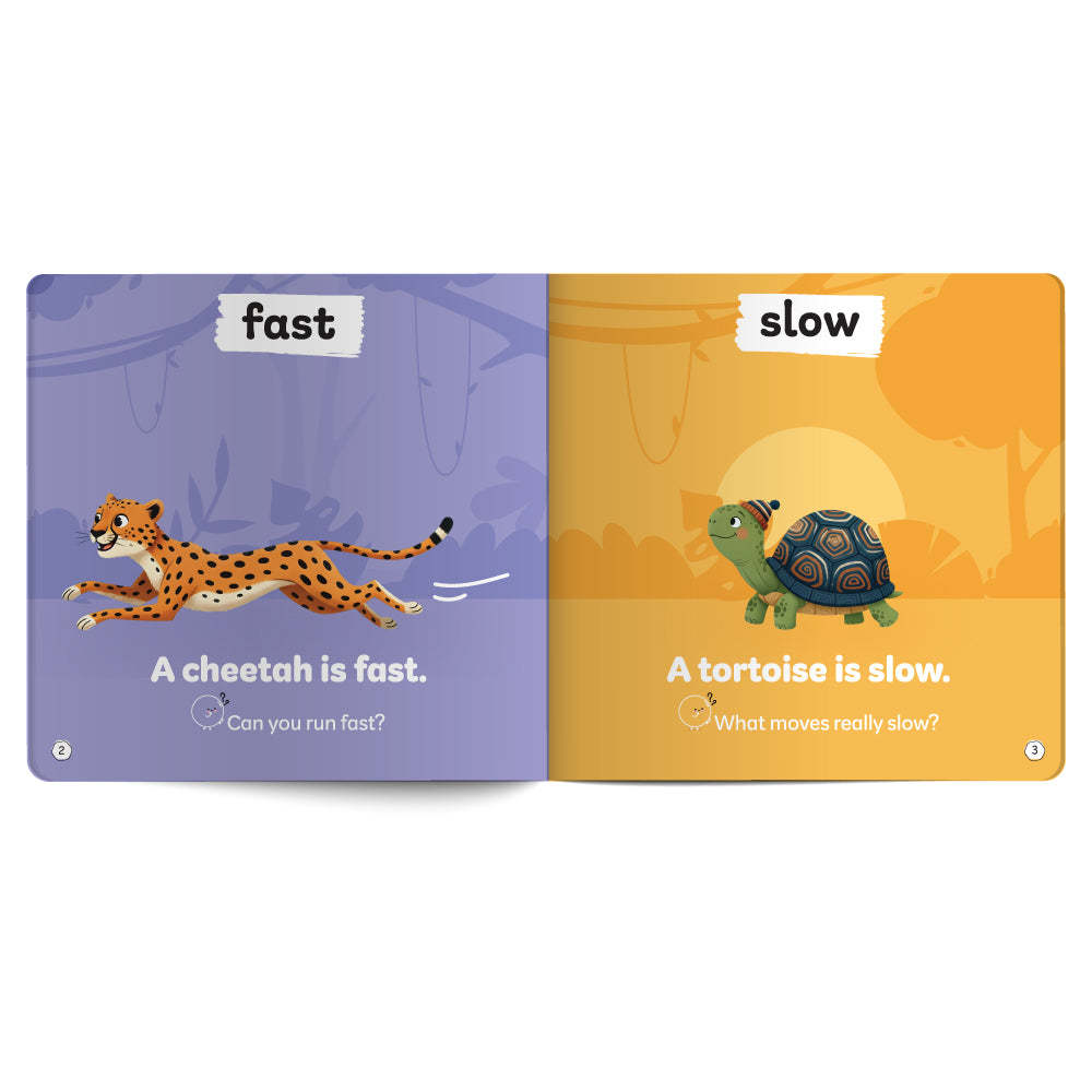 Opposites Are Everywhere – Book for Kids in English