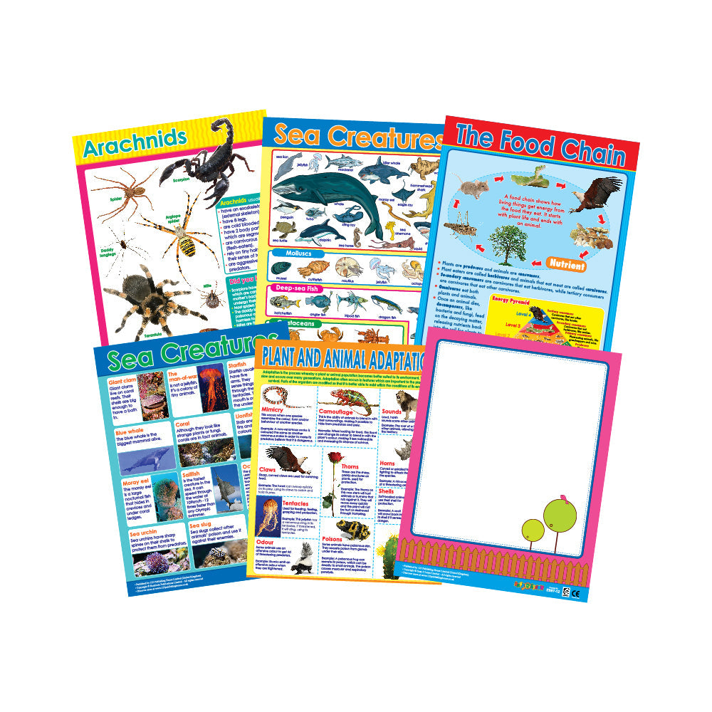 Nature's Wonders (6 Wall Charts) - Educational Wall Chart
