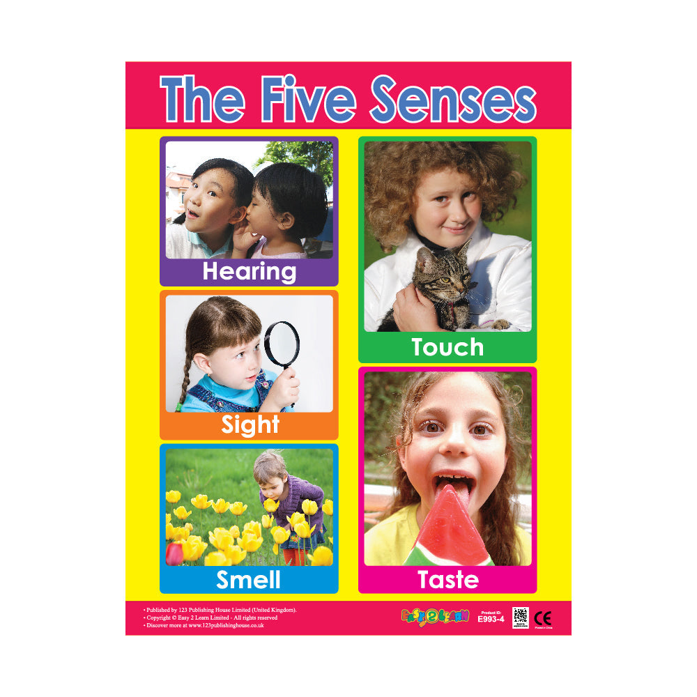 The Five Senses Wall Chart In English the-five-senses-wall-chart-in-english