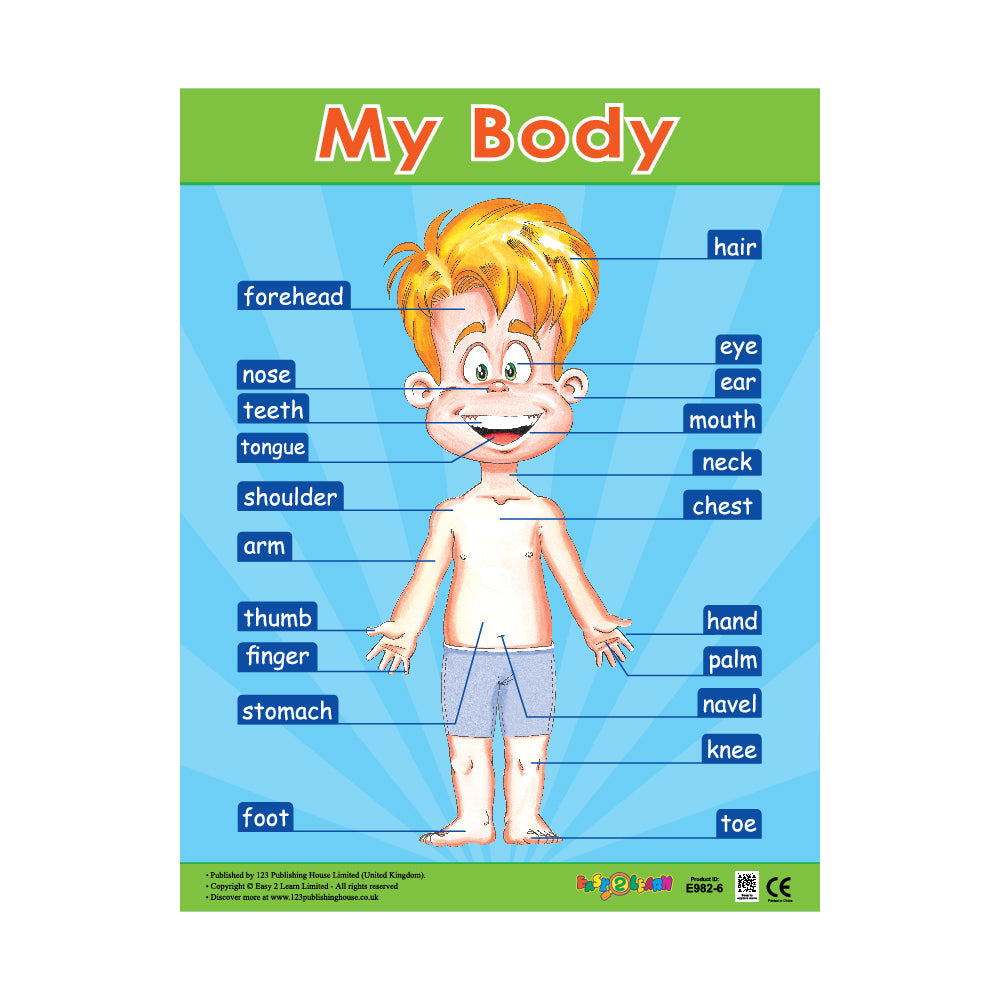 wall charts for kids