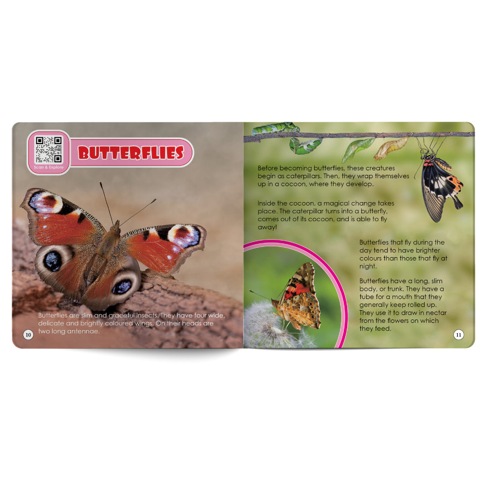 Reptiles And Bugs – Book for Kids in English