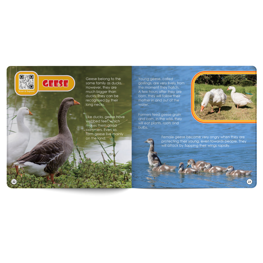 Farm Animals – Book for Kids in English