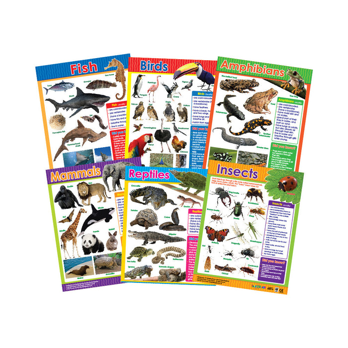 Animal Classification (6 Wall Charts) Educational Wall Chart Pack in