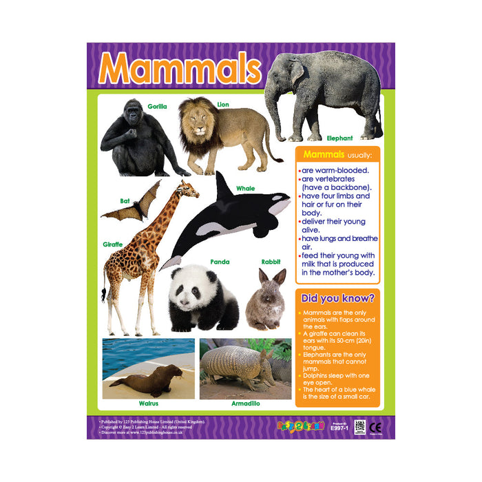 Animal Classification (6 Wall Charts) - Educational Wall Chart Pack in